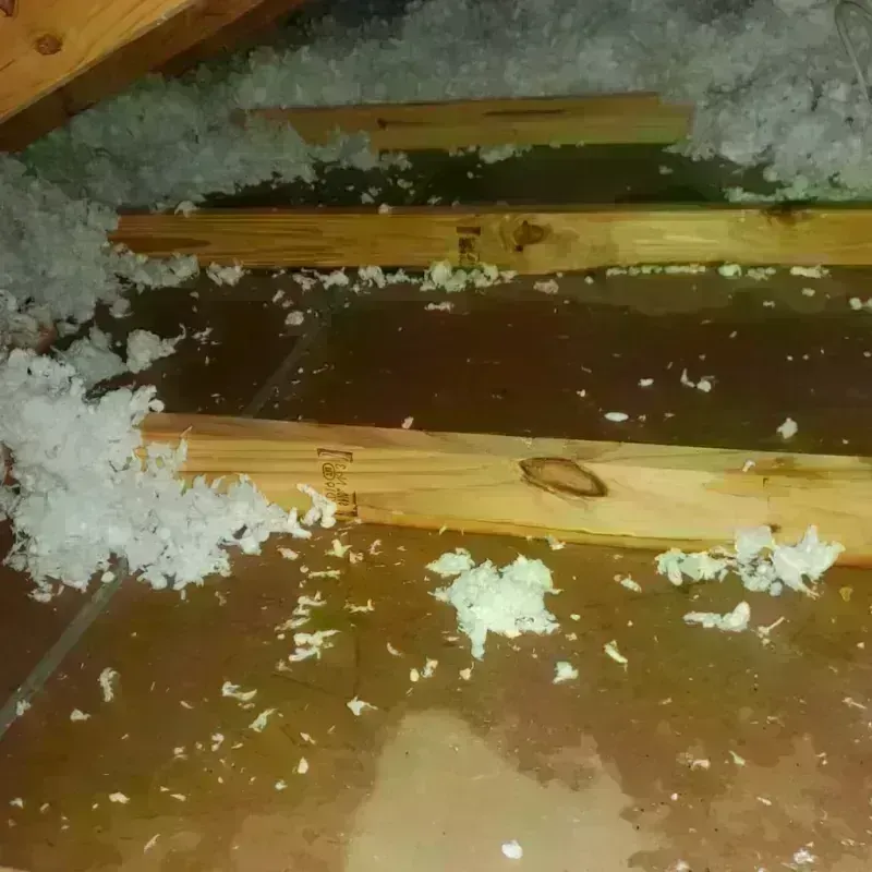 Attic Water Damage in Peosta, IA