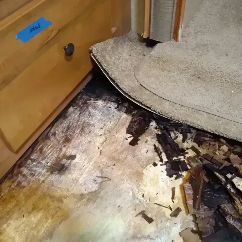 Wood Floor Water Damage in Peosta, IA